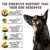 Probiotics for Dogs Support Gut Health Itchy Skin Allergies Yeast Balance Immunity Dog Probiotics and Digestive Enzymes for Small Medium and Large Dog